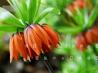 借唄10號還款什么時候借劃算-借唄10號還款什么時候借劃算呢