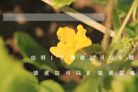 借唄10號還款可以8號還款嗎-借唄10號還款可以8號還款嗎為什么