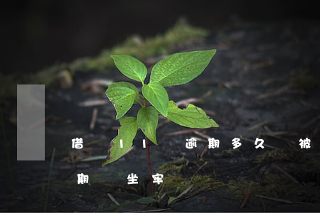 借唄11萬逾期多久會被起訴 借唄11萬逾期會坐牢嗎?
