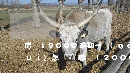 借唄12000逾期一個(gè)月會(huì)怎樣-借唄12000逾期一個(gè)月會(huì)怎樣處理