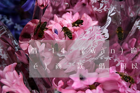 借唄14萬(wàn)逾期了可以協(xié)商還款嗎(借唄可以協(xié)商24期還款嗎)