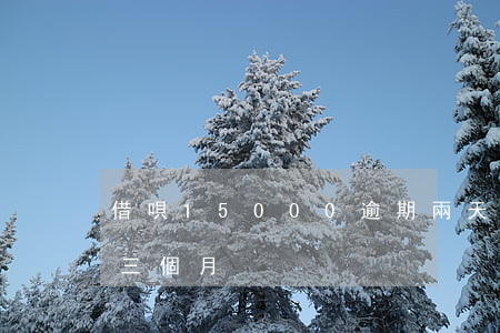 借唄15000逾期兩天(借唄8000逾期三個月)