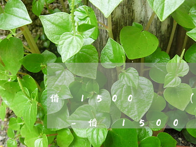 借唄1500塊錢當(dāng)日還款截圖-借唄1500塊錢當(dāng)日還款截圖是真的嗎