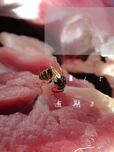 借唄1500逾期會(huì)上門嗎(借唄逾期8000會(huì)上門嗎)