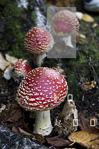借唄15萬逾期了怎么辦(借唄逾期5萬一年起訴嗎)