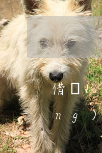 借唄18號(hào)零晨可以手動(dòng)還款嗎-借唄18號(hào)零晨可以手動(dòng)還款嗎請(qǐng)問(wèn)