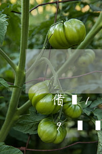 借唄19號還款幾號借錢下個月還-借唄19號還款幾號借錢下個月還可以嗎