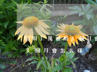 借唄1萬逾期3個月會怎么樣(借唄1萬逾期3個月會怎么樣)