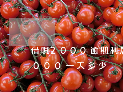 借唄2000逾期利息多少(借唄逾期費20000一天多少)
