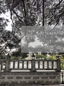 借唄20萬逾期起訴(借唄逾期被起訴)