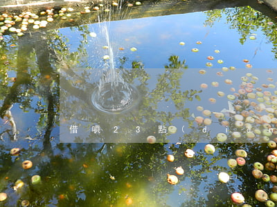 借唄23點(diǎn)還清算逾期嗎