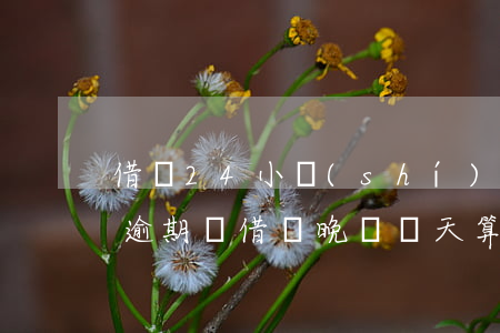 借唄24小時(shí)內(nèi)還算逾期嗎(借唄晚還幾天算逾期)