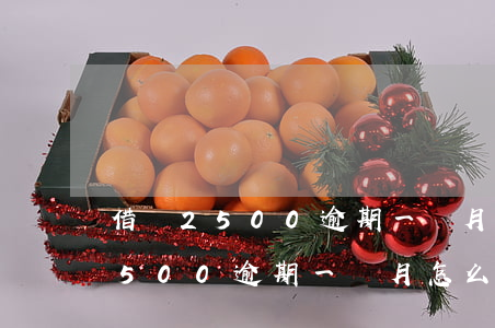借唄2500逾期一個月怎么處理-借唄2500逾期一個月怎么處理的