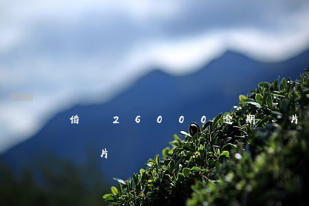 借唄26000逾期圖片(借唄欠20000圖片)