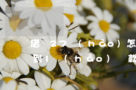 借唄27號(hào)怎么調(diào)到1號(hào)還款日-借唄27號(hào)怎么調(diào)到1號(hào)還款日期
