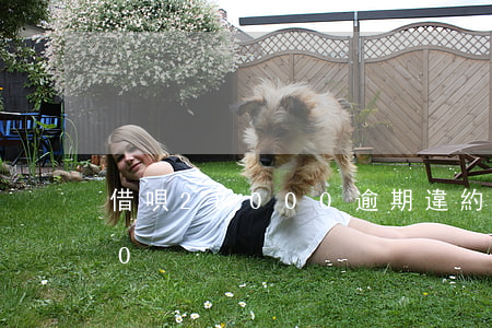 借唄28000逾期違約金(借唄逾期5000)