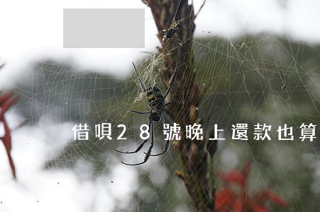 借唄28號晚上還款也算逾期么-