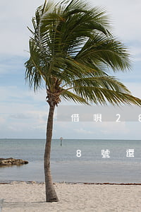 借唄28號還款提前幾天短信通知-借唄28號還款提前幾天短信通知呢