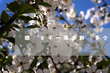 借唄2千一年逾期還多少(借唄逾期兩萬算多嗎)