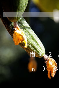 借唄2萬(wàn)逾期兩年還三萬(wàn)多(借唄2萬(wàn)逾期一年)
