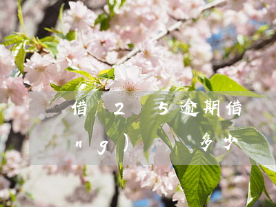 借唄2萬5逾期(借唄兩萬逾期一年應(yīng)該還多少)