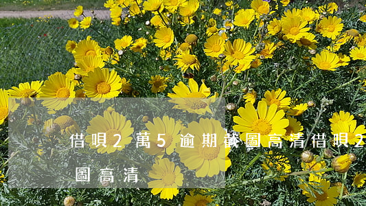 借唄2萬5逾期截圖高清(借唄2萬5逾期截圖高清)