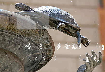 借唄2萬多逾期3個(gè)月了(借唄連續(xù)兩個(gè)月逾期會怎樣)