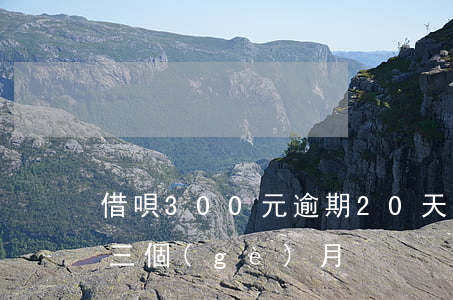 借唄300元逾期20天(借唄8000逾期三個(gè)月)