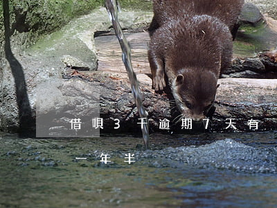 借唄3千逾期7天有沒有事(借唄3萬多逾期一年半)