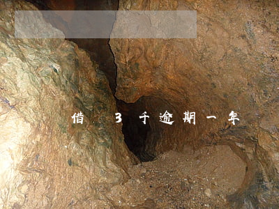 借唄3千逾期一年
