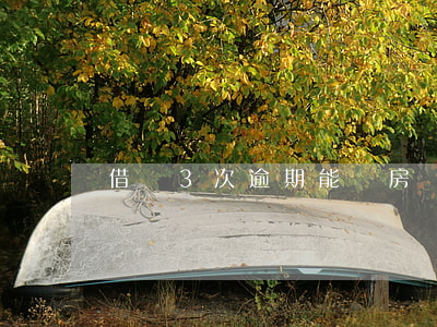 借唄3次逾期能辦房貸嗎(借唄可以逾期三天)