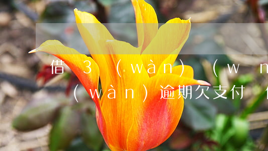 借唄3萬(wàn)網(wǎng)商貸5萬(wàn)逾期(欠支付寶借唄3萬(wàn)逾期了5年)