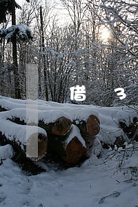 借唄3萬逾期被關(guān)的圖片