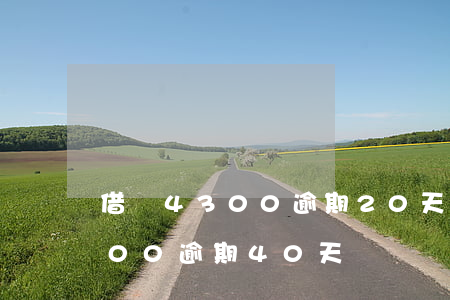借唄4300逾期20天的圖片-借唄4000逾期40天