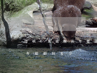 借唄4萬逾期兩年要還多少(借唄五萬逾期三年能翻到多少)