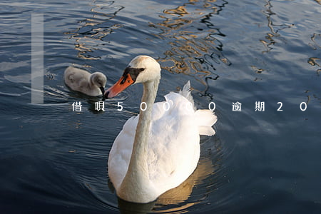 借唄50000逾期200多天-