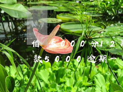借唄5000分12期逾期一個月-借唄欠款5000逾期一個月利息