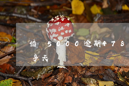 借唄5000逾期478天(借唄逾期500多天)