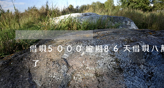 借唄5000逾期86天(借唄八萬逾期半年了)