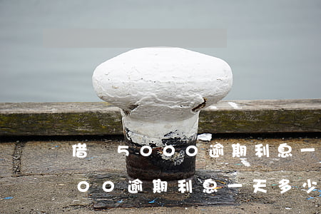借唄5000逾期利息一天多少-借唄5000逾期利息一天多少錢