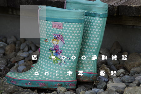 借唄5000逾期被起訴(借唄逾期五萬(wàn)半年說要起訴)