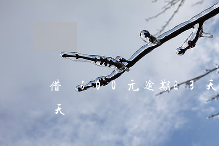 借唄500元逾期23天(借唄9萬逾期50天)