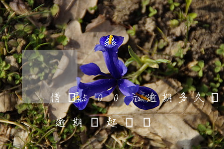 借唄500元逾期多久會起訴(借唄5000逾期會起訴嗎)