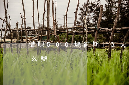借唄500塊逾期10天(借唄逾期500怎么辦)