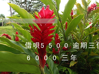 借唄5500逾期三個(gè)月(借唄逾期6000三年)
