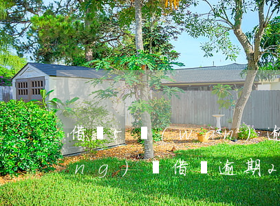 借唄5萬(wàn)逾期一年親身經(jīng)歷(借唄逾期2年親身經(jīng)歷)