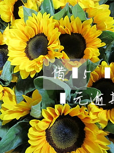 借唄5萬元逾期未還夠得上刑事嗎-借唄5萬元逾期未還夠得上刑事嗎判幾年