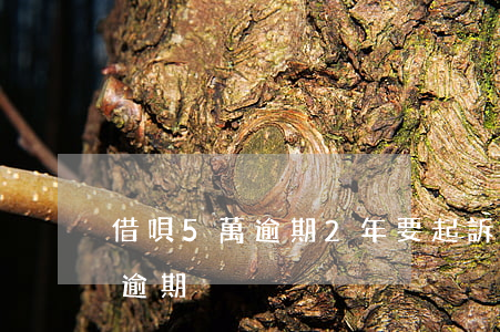 借唄5萬逾期2年要起訴我-借唄欠款5萬逾期