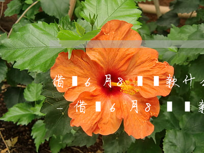 借唄6月8號還款什么時候發(fā)短信-借唄6月8號還款什么時候發(fā)短信給我