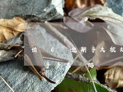 借唄6萬逾期多久被起訴(支付寶借唄逾期一萬多多久會起訴)